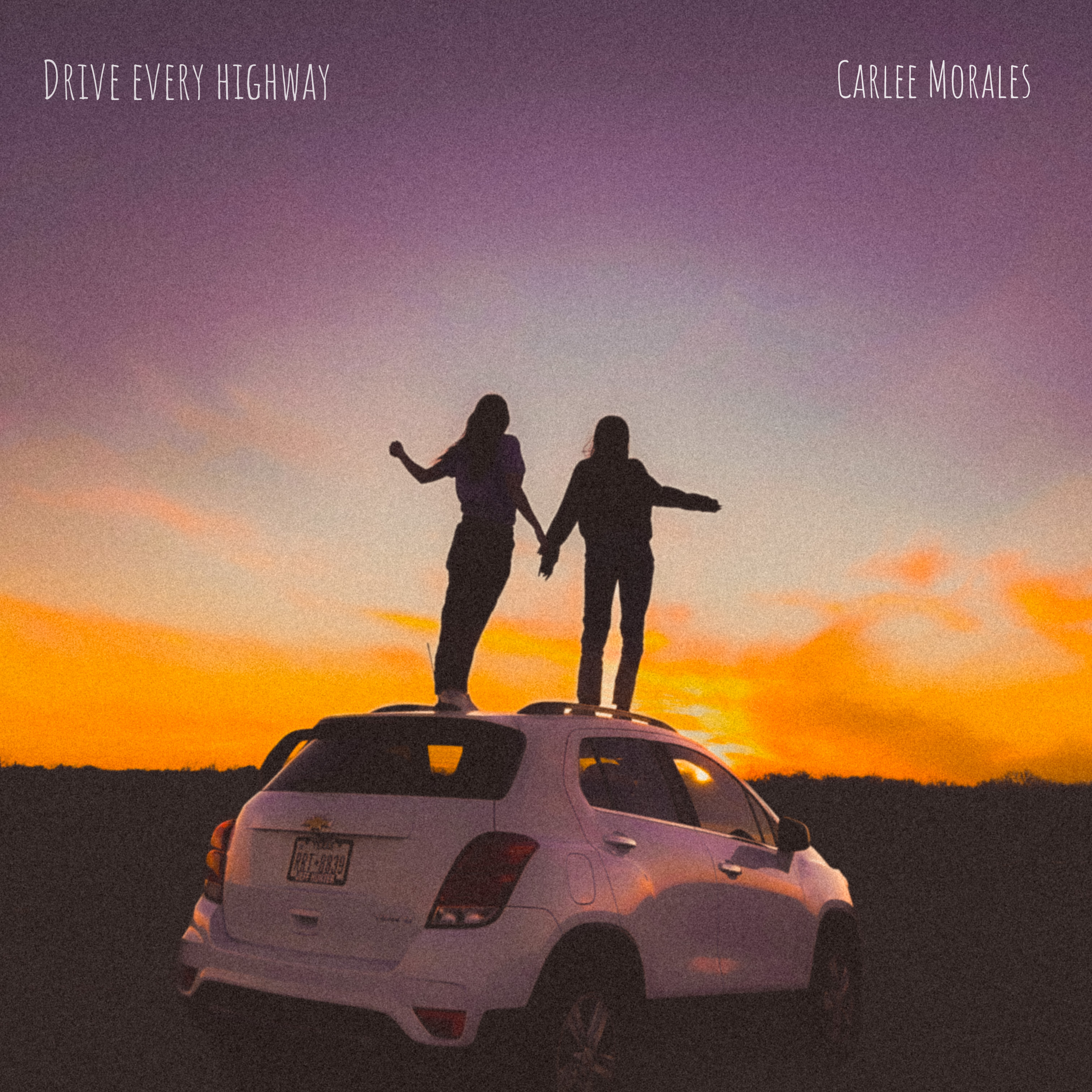 DRIVE EVERY HIGHWAY artwork
