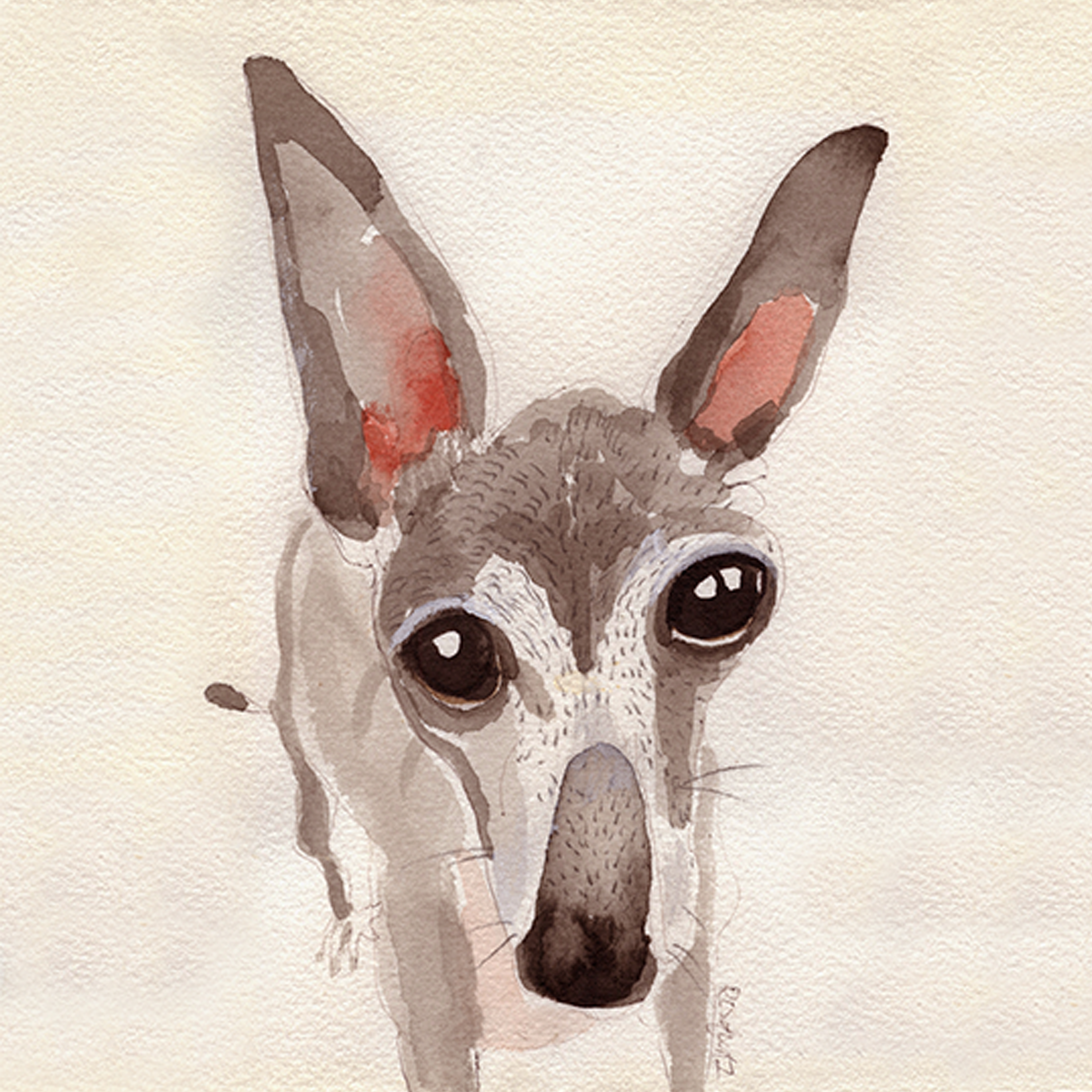 Lou artwork
